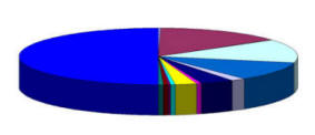 Pie Chart
